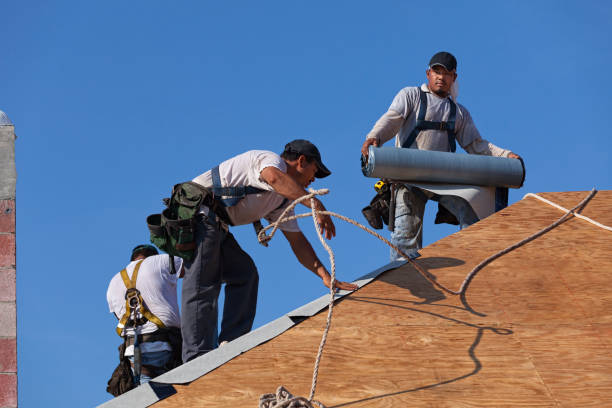 Roof Gutter Cleaning in Bryan, OH