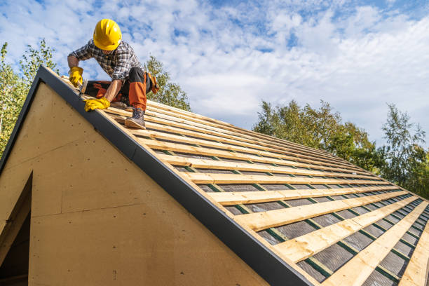 Best Roof Gutter Cleaning  in Bryan, OH